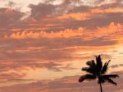 One of many incredible Kona sunsets                               