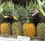 The infamous Maui Gold Pineapple...GMO'd                               