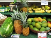 Organic Produce of Hawaii                               