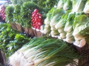 Fresh Greens in Jordan