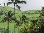 Hills of Hana Town, Maui                               