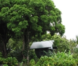 My tree house home..                               