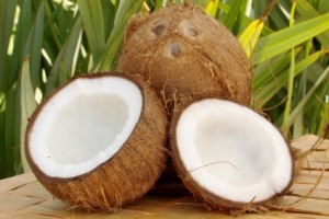Coconut Loving 101