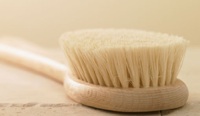 Dry Skin Brushing Daily for a Natural Detox
